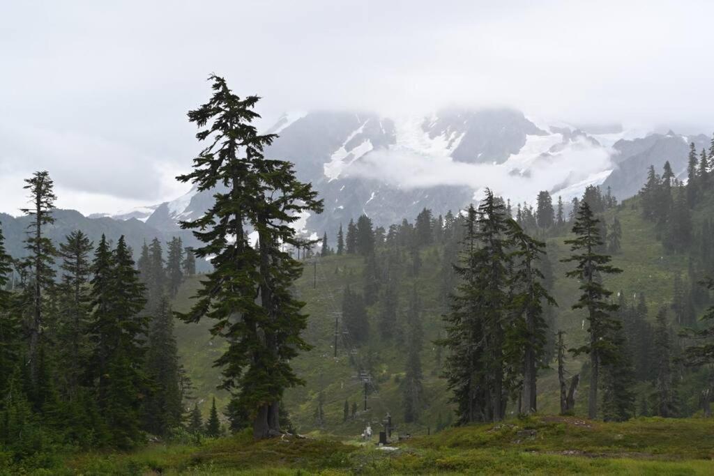 Mountainview