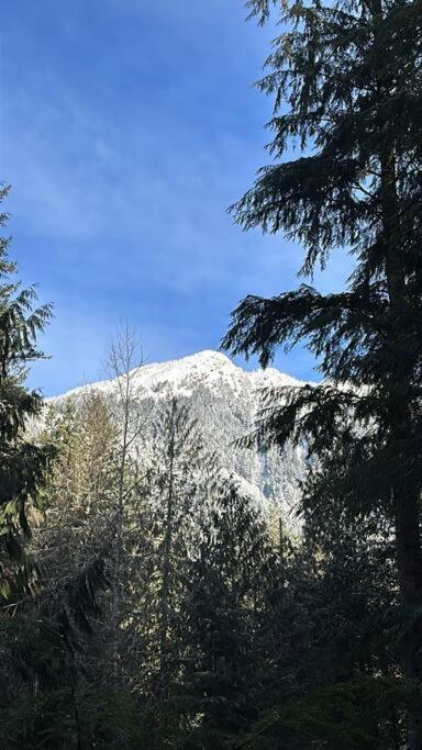 Chalet Mountainview
